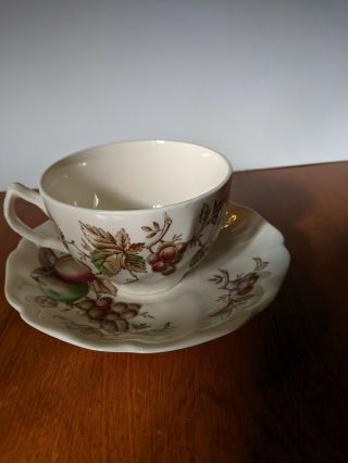 Johnson Brothers Bros.  Cup & Saucer - Pattern Is Harvest Time