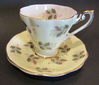 Royal Standard Teacup And Saucer