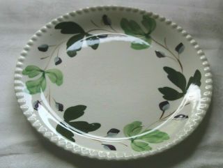 Blue Ridge Pottery China Mountain Ivy 10 1/4 " Dinner Plate