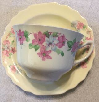 Vintage Lido W.  S.  George Canarytone Cup And Saucer Set