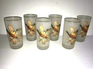 6 Ring Neck Pheasant Drinking Glasses Frosted Pair Game Birds High 5.  5 " Tall