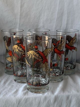Vintage Red And Gold Pheasant Highball Glasses Set Of 6
