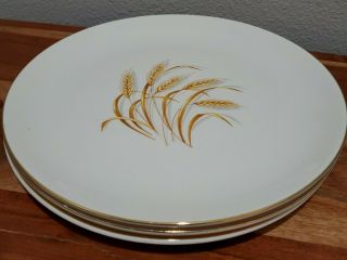 Vintage Golden Wheat Dish Homer Laughlin Dinner Plates 9” (3)