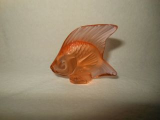 Signed Lalique France Orange / Amber Angel Fish Figurine
