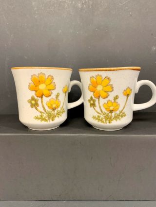 Pair (2) Mikasa Japan Natural Beauty Southern Sun Coffee Cups Mugs Floral C9006