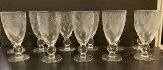 Set Of 11 Vine Etched Clear Glass Stemware (5.  5 " H)