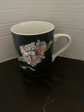 3 Vintage Tiffany & Co.  Mrs.  Delany ' s Flowers by Sybil Connolly Coffee Mugs 3