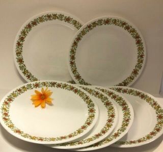 Corelle Plates - Set Of 6 - Corelle Spice Of Life Pattern - 1970’s To 1980’s