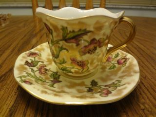 Stunning Vintage Brown Westhead Moore & Co.  Potters To Her Majesty Cup & Saucer