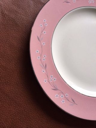 Homer Laughlin Dinner Plate Pink Melody CV62.  2 Cavalier 1956 J56 2