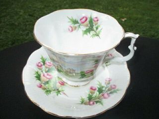 CUP SAUCER ROYAL ALBERT PURPLE PINK BRUSH THISTLES ROAD TO THE ISLES 2