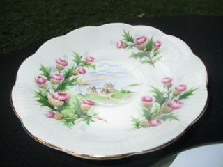 CUP SAUCER ROYAL ALBERT PURPLE PINK BRUSH THISTLES ROAD TO THE ISLES 3