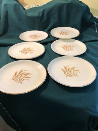 Vintage Homer Laughlin Golden Wheat Pattern 22k Gold.  Six 6” Bread And Butter Pl