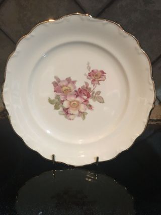 Porcelain Salad Plate - E&r Schumann Arzberg Bavaria Germany Briar Rose - 7 3/4 "