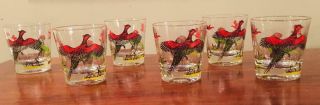 Vintage Hazel Atlas Pheasant Hunter 8 Oz.  Drinking Glass Rocks Tumbler Set Of 6
