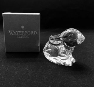 Waterford Crystal 3 " Bunny Rabbit Figurine Sitting Ears Down