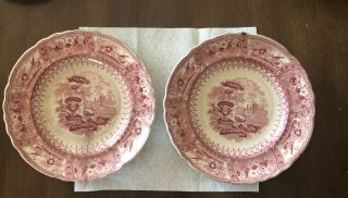 Staffordshire Plates Canova By T,  Mayer Longport