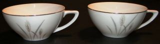 Fine China Of Japan Platinum Wheat Tea Cups Set Of 2