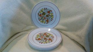 Set 8 Corelle " Indian Summer " Salad Luncheon Plates Flowers/floral 8.  5 " Euc