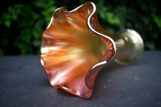 Antique Northwood Thin - Ribbed Vase Carnival Glass 9 " Marigold Ruffled 1905 - 1916