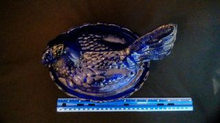 Large Cobalt Blue glass hen on nest covered dish 8 1/2 