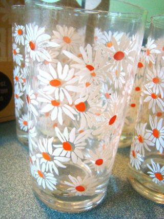 Set of 8 Vintage Federal Glass DAISY FIELD FLOWER 60 ' S Glasses TUMBLERS OrG Box 2