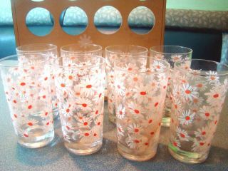 Set of 8 Vintage Federal Glass DAISY FIELD FLOWER 60 ' S Glasses TUMBLERS OrG Box 3