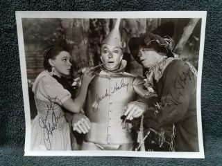 The Wizard Of Oz Cast Signed Movie Photo By Judy Garland,  Jack Haley,  Ray Bolger