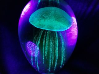 Dynasty Gallery Art Glass Paperweight Green Jellyfish Glow In The Dark Luminous