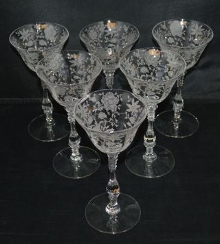 6 Cambridge Wildflower 6 " Liquor Cocktail Glasses -