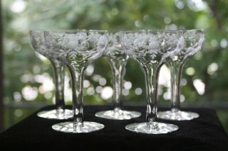Gorgeous,  Cut/engraved Glass Coupe Champagnes (5) Rock Sharpe