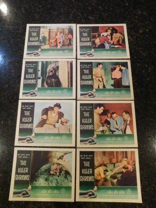 The Killer Shrews & Complete 1959 Lobby Card Set,  C7.  5 Very Fine Minus