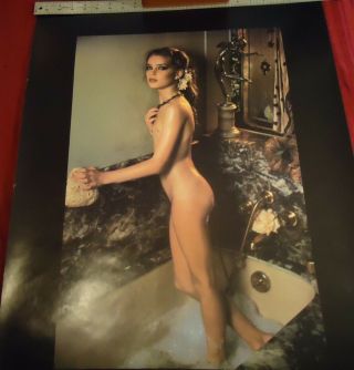 Brooke Shields Poster Limelight Exclusive 1985 Gary Gross Graphics