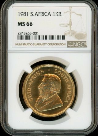 1981 South Africa Krugerrand 1 Ounce Gold Ngc Ms 66
