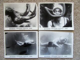 Monster From The Ocean Floor Orig 1954 Set Of 19bw Ms 8x10 Anne Kimbell Good - Ex