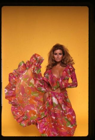 Raquel Welch Breathtaking Vivid Color Sexy Glamour Pin Up Transparency