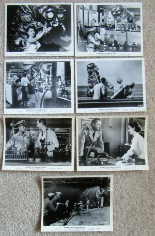 Monster That Challenged The World 1957 Set Of 7bw Ms 8x10 Vg - Ex
