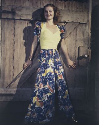 Ann Sheridan Stunning Rich Color Vintage Photo Shoot 5x4 Transparency