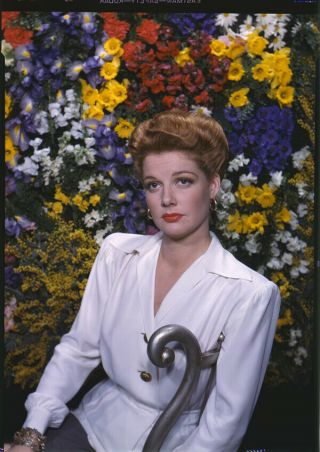 Ann Sheridan Posing By Colorful Flowers 1940 