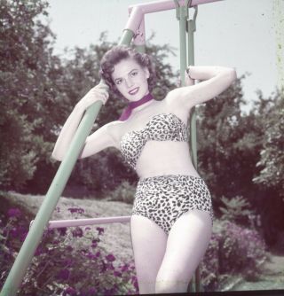 Natalie Wood Leopard Print Bikini 