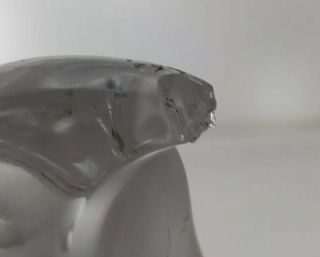 Lalique Crystal Eagle Head Clear Frosted Paperweight Hood Ornament Beak - CHIP 2