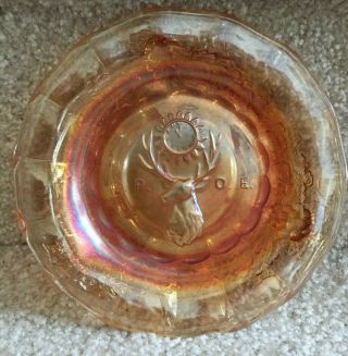 Joe St.  Clair Glass Bpoe Elks Plate Marigold Carnival 5 ¼ " 1st Ed 453 Org Box