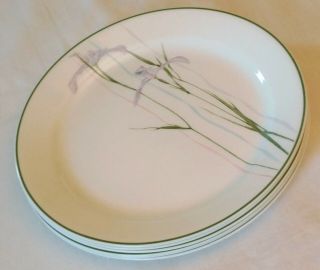 Set Of 6 Corelle Shadow Iris 10 " Dinner Plates Euc So