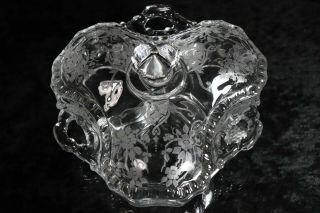 Cambridge 8 " Glass 3 Part Clear Apple Blossom Covered Handled Candy Relish Dish