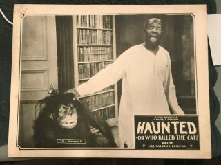 Haunted - Or Who Killed The Cat 1929 Pathe 11x14 " Comedy Short Robert Milliken