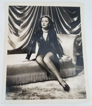 Hedy Lamarr Risqué Mgm Production Glamour Photo 10 " ×8 " Movie Star