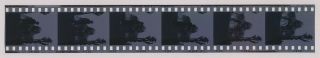 (strip Of 6) 1975 Photo Negatives King Kong - Jessica Lange On The Set