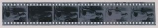 (strip Of 6) 1960 Photo Negatives Wende Wagner Sexy Star Green Hornet