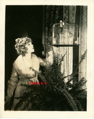 Mary Miles Minter Vintage Photo 1920s Personal Candid Parakeet Rare