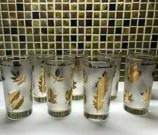 Gold Leaf Frosted Glasses Vintage 1960 ' s Mid Century Libbey 12 oz.  - Set of 8 2